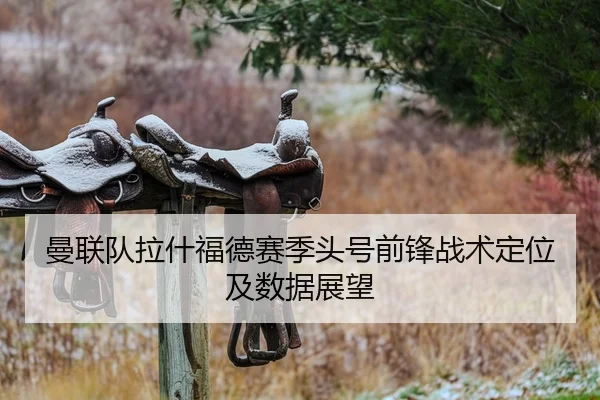 曼联队拉什福德赛季头号前锋战术定位及数据展望